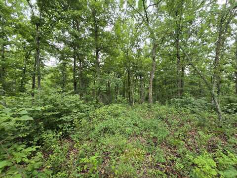 Tbd County Road 481w, Cross Timbers, MO 65634