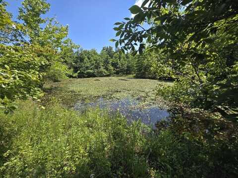 000 Harlow Road, Mountain View, MO 65548