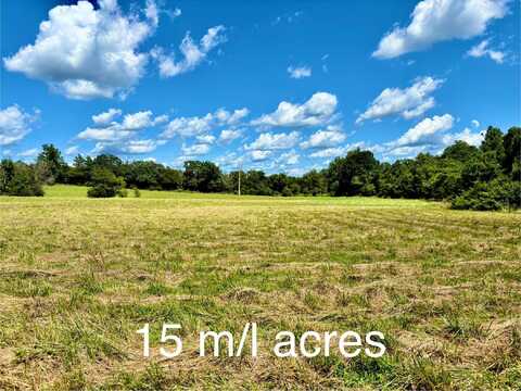 000 Tbd County Road 900, Theodosia, MO 65761