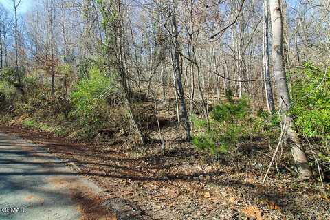 Lot 421 Mystic Star Drive, New Tazewell, TN 37825