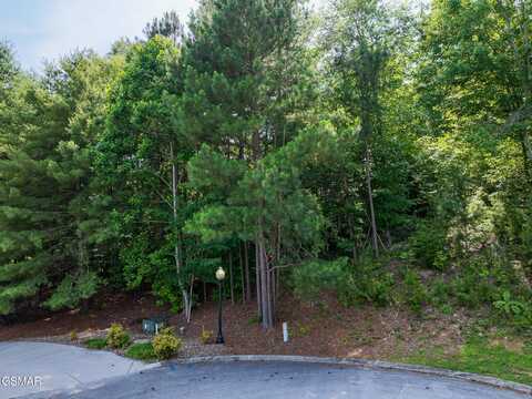 Lot 177 Harbour View Way, Kingston, TN 37763