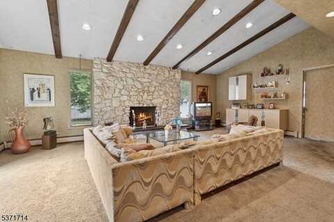 46 Hemlock Ter, Springfield, NJ 07081