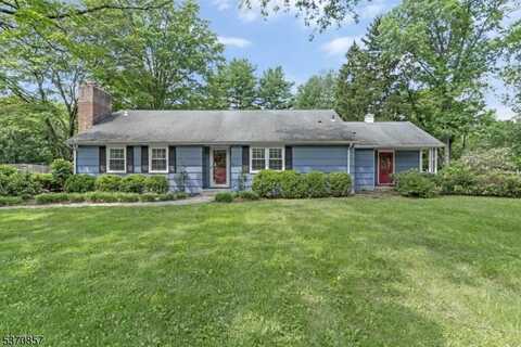 20 Ellis Dr, Bernardsville, NJ 07920
