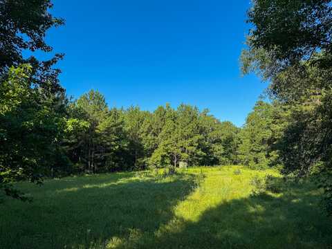275 +/- J M Burge Rd., Hattiesburg, MS 39402