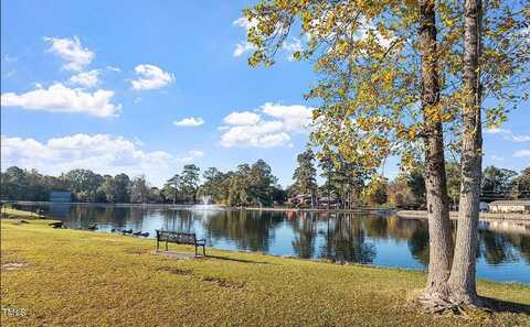 407 E Williams Street, Angier, NC 27501