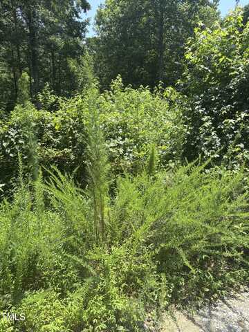 Lot 24 Turtle Hill Court, Roxboro, NC 27573