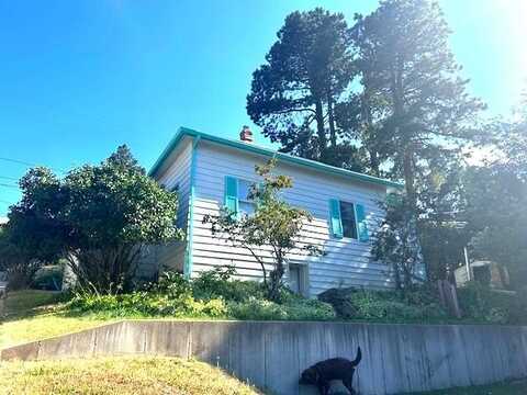 113 Alert Street, Lead, SD 57754