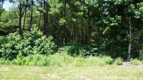 Tbd Hwy 80 Highway, Hawkins, TX 75765