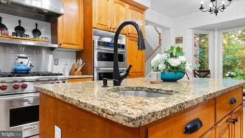 3497 BULL RUN MOUNTAIN ROAD, THE PLAINS, VA 20198