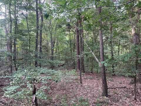 Tbd Fm-16, Winona, TX 75792