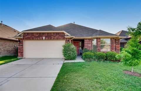 801 Hawk Valley Drive, Little Elm, TX 75068