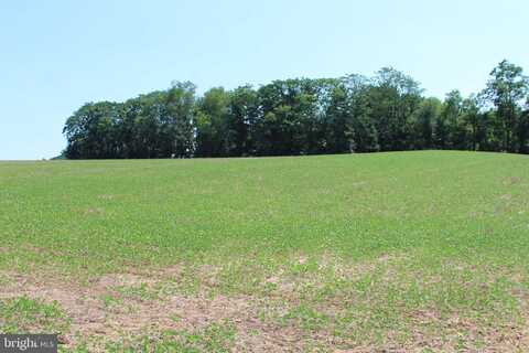 Parcel 62 Part 1 RIDGE ROAD, WESTMINSTER, MD 21157