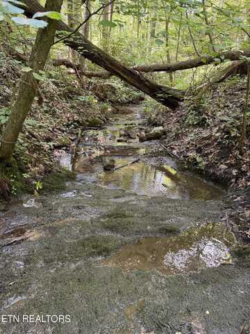 0 Goose Creek Rd, Seymour, TN 37865
