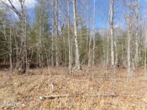 900 Paola Drive, Crossville, TN 38572