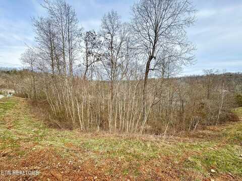 Lot 207 Suncrest Cove, La Follette, TN 37766