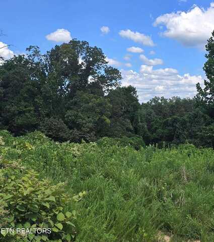 52 Paint Rock Ferry Rd, Kingston, TN 37763