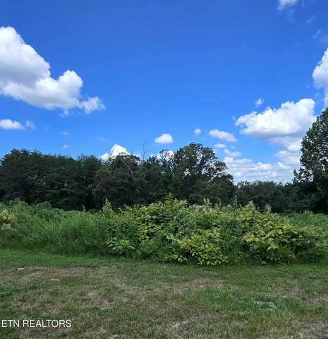 52 Paint Rock Ferry Rd, Kingston, TN 37763