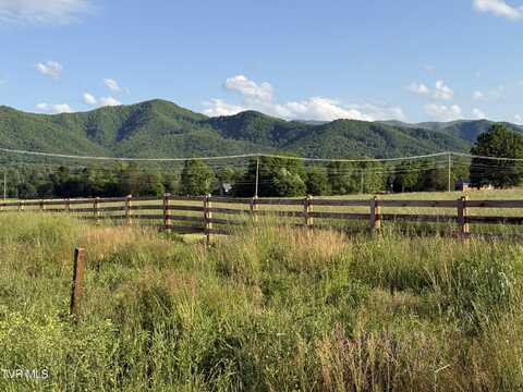 324 Bill Mauk Road, Chuckey, TN 37641