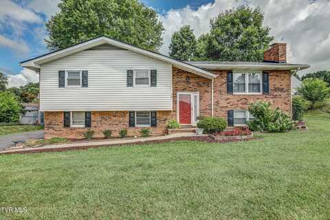 107 Dover Lane, Bristol, TN 37620