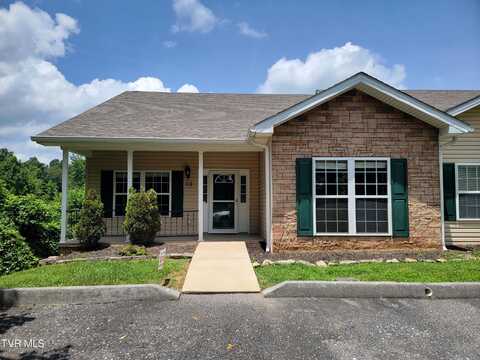 63 Whisper Bend, Johnson City, TN 37604