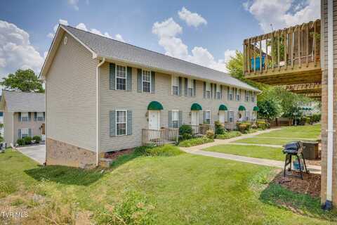 26 Lake Village Court, Johnson City, TN 37601