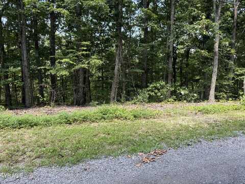 Lot 36 Pecan Tree Lane, Newport, TN 37821