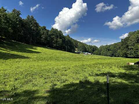 1013 Cloud Creek Road, Rogersville, TN 37857