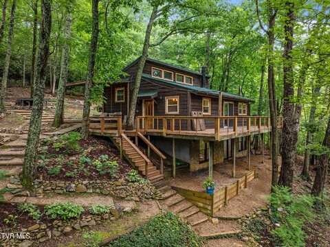 114 Whisper Wood Lane, Johnson City, TN 37601