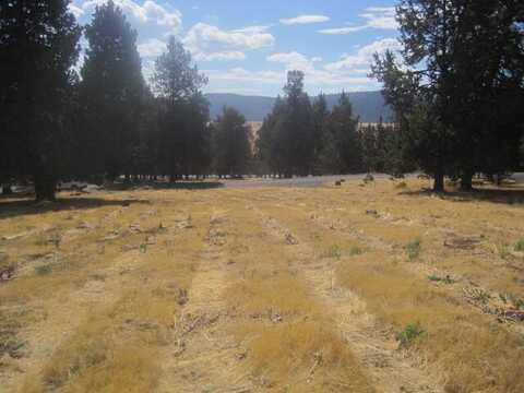 Turnstone Drive, Klamath Falls, OR 97601