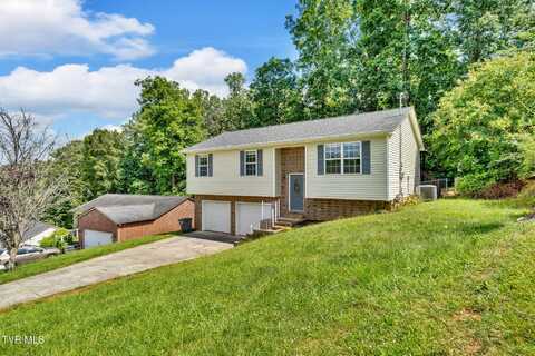 227 Valley Crest Drive, Mount Carmel, TN 37645
