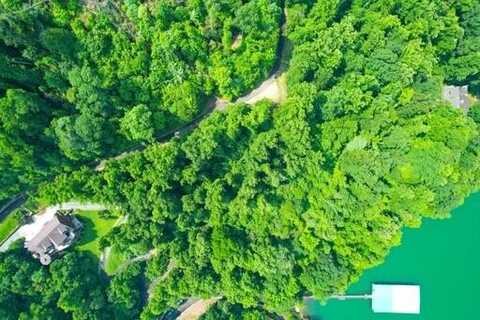 Lot 14 Diamond Point Drive, Butler, TN 37640