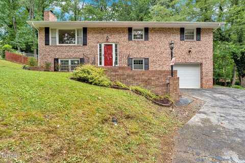 308 Cardinal Lane, Bristol, TN 37620