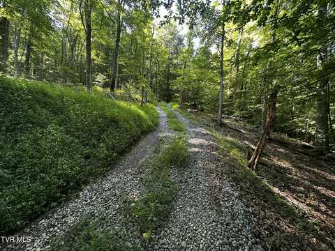 Tbd Clinch Mountain Road, Eidson, TN 37731