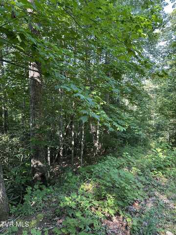 1501 Sprucy Ridge Private Road, Mountain City, TN 37683