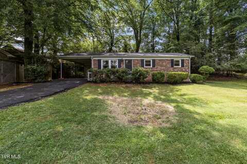 1813 Brook Hollow Road, Johnson City, TN 37604