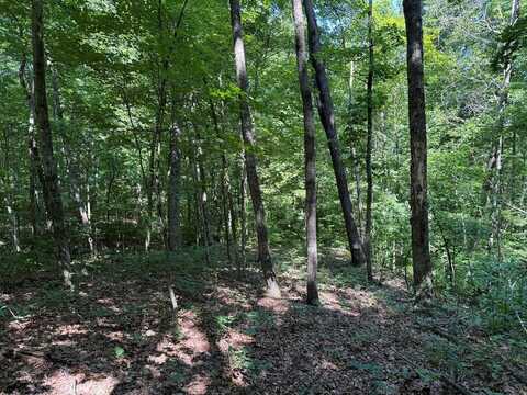 Lot 2 E Cove Rd., MONTEREY, TN 38574