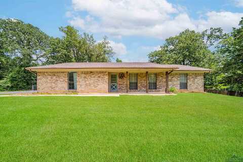 325 Shannas Trl, Tatum, TX 75691