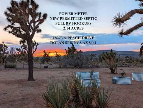 18273 N Peach Drive, Dolan Springs, AZ 86441