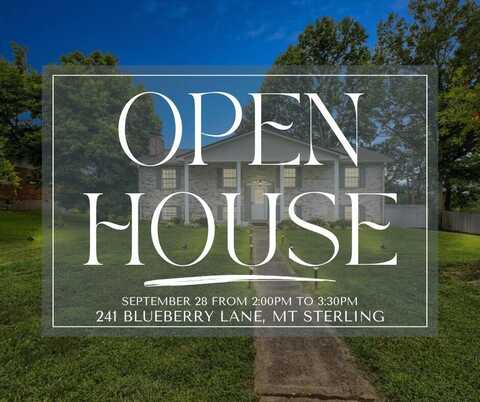 241 Blueberry Lane, Mount Sterling, KY 40353