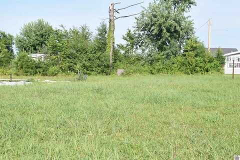 7349 Moores Camp Hwy, Gilbertsville, KY 42044