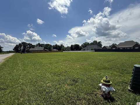27,28 Trent Lane, Murray, KY 42071