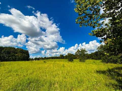 496 County Road 496, Lexington, AL 35648