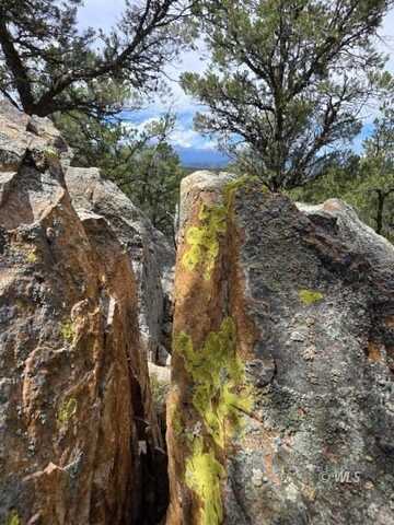 TBD Holmes Road, Cotopaxi, CO 81223