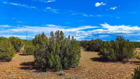8730 Coronado Drive, Show Low, AZ 85901