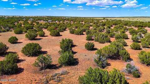 8730 Coronado Drive, Show Low, AZ 85901