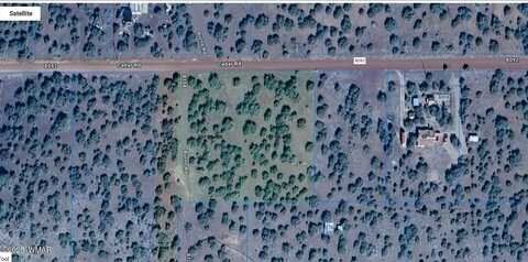 16 and 20 County Road 8092, Concho, AZ 85924