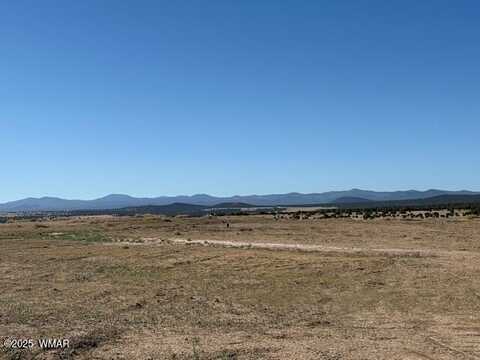 54 County Road 8001, Concho, AZ 85924
