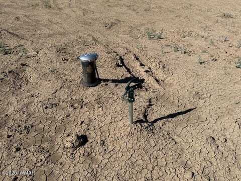 54 County Road 8001, Concho, AZ 85924