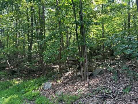 Lot 934 Ski Slope RD, Bullskin Twp, PA 15610