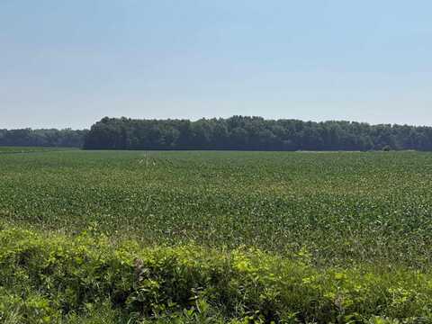 9088 Elliott, Morenci, MI 49256